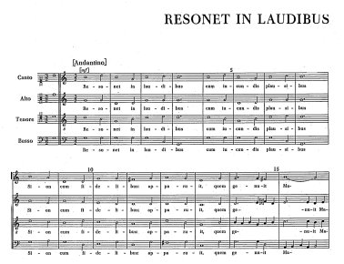 Magnum nomen Domini, Resonet in laudibus
