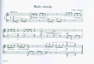 Małe etiudy