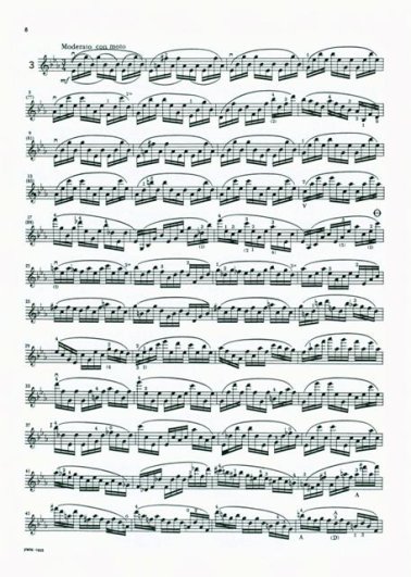 6 Etiud na skrzypce op.8