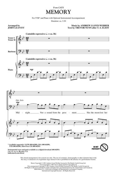 Memory - piosenka z musicalu Koty/Cats