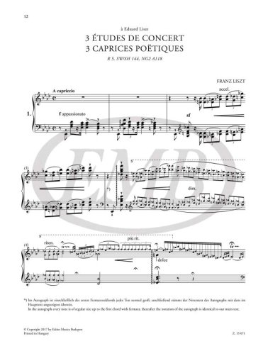 3 Études de concert / Trzy etiudy koncertowe