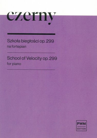 Szkoła biegłości