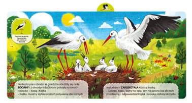 Odkrywam dźwięki: Łąka