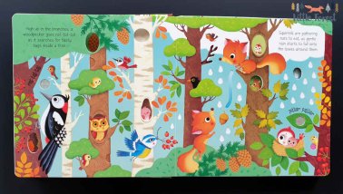 Woodland sounds