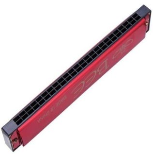 Harmonijka ustna 24-tonowa