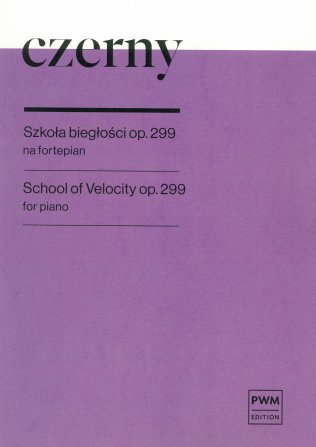Szkoła biegłości