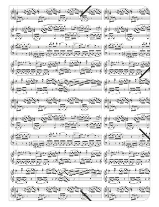 Teczka biała w nuty 'Urtext'