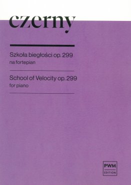 Szkoła biegłości
