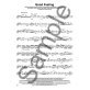 Lindsey Stirling Hits. Violin Play-Along vol. 45