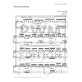Grandes etudes de concert op. 60 cz. 1