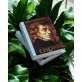 Chopin